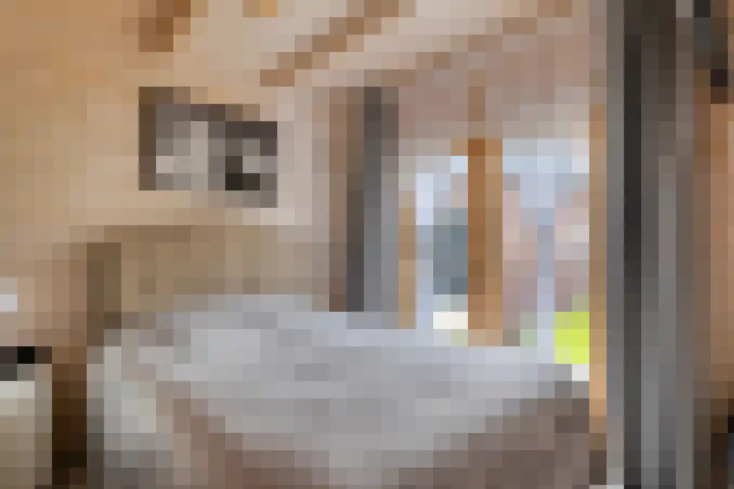 Lucky Lukestraat 22 Almere thumbnail 43