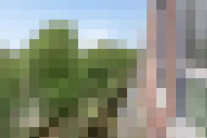 Lucky Lukestraat 23 Almere thumbnail 16