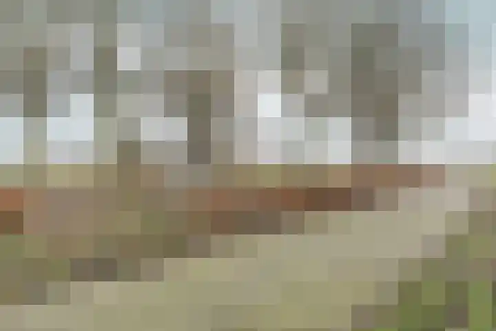 Lucky Lukestraat 3 Almere thumbnail 35