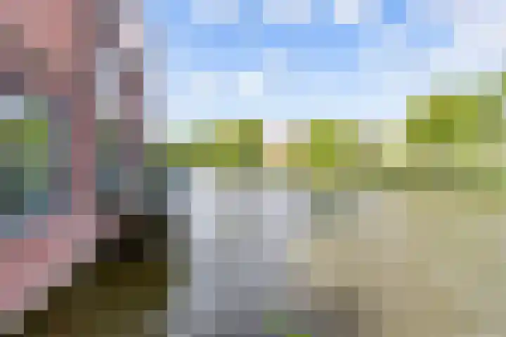 Lucky Lukestraat 89 Almere thumbnail 49