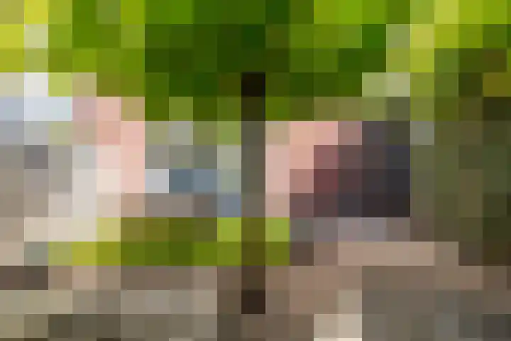 Lucky Lukestraat 89 Almere thumbnail 5
