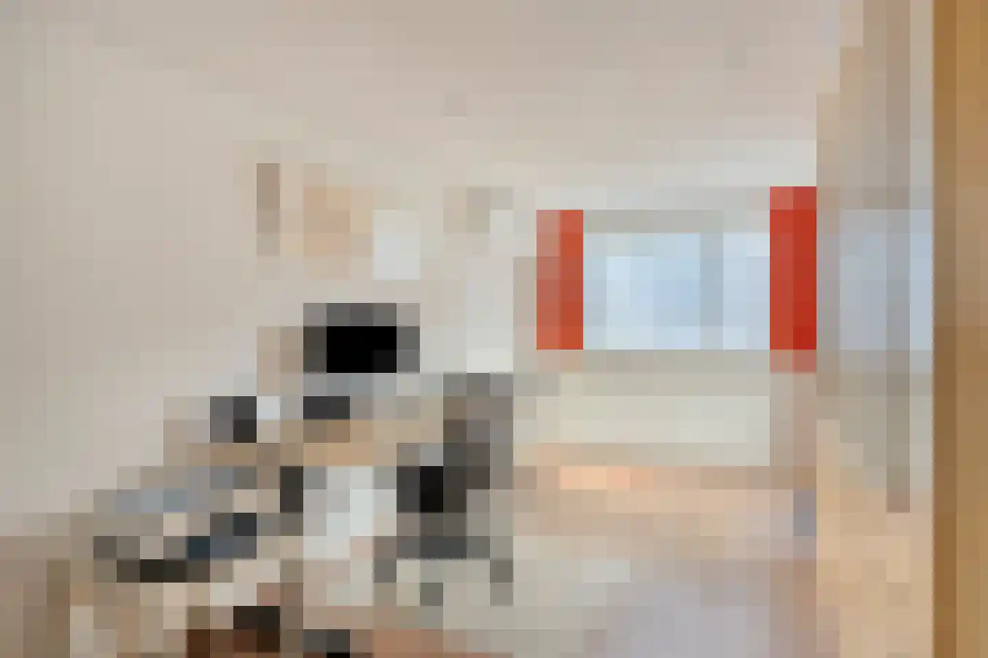 Lucretia van Merkenlaan 1 Veenendaal thumbnail 18
