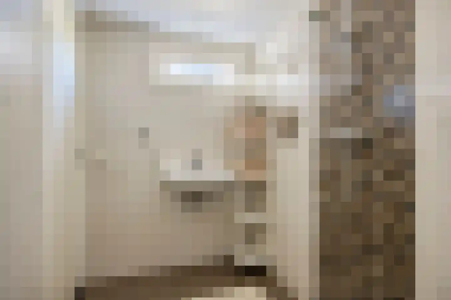Lucretia van Merkenlaan 1 Veenendaal thumbnail 21