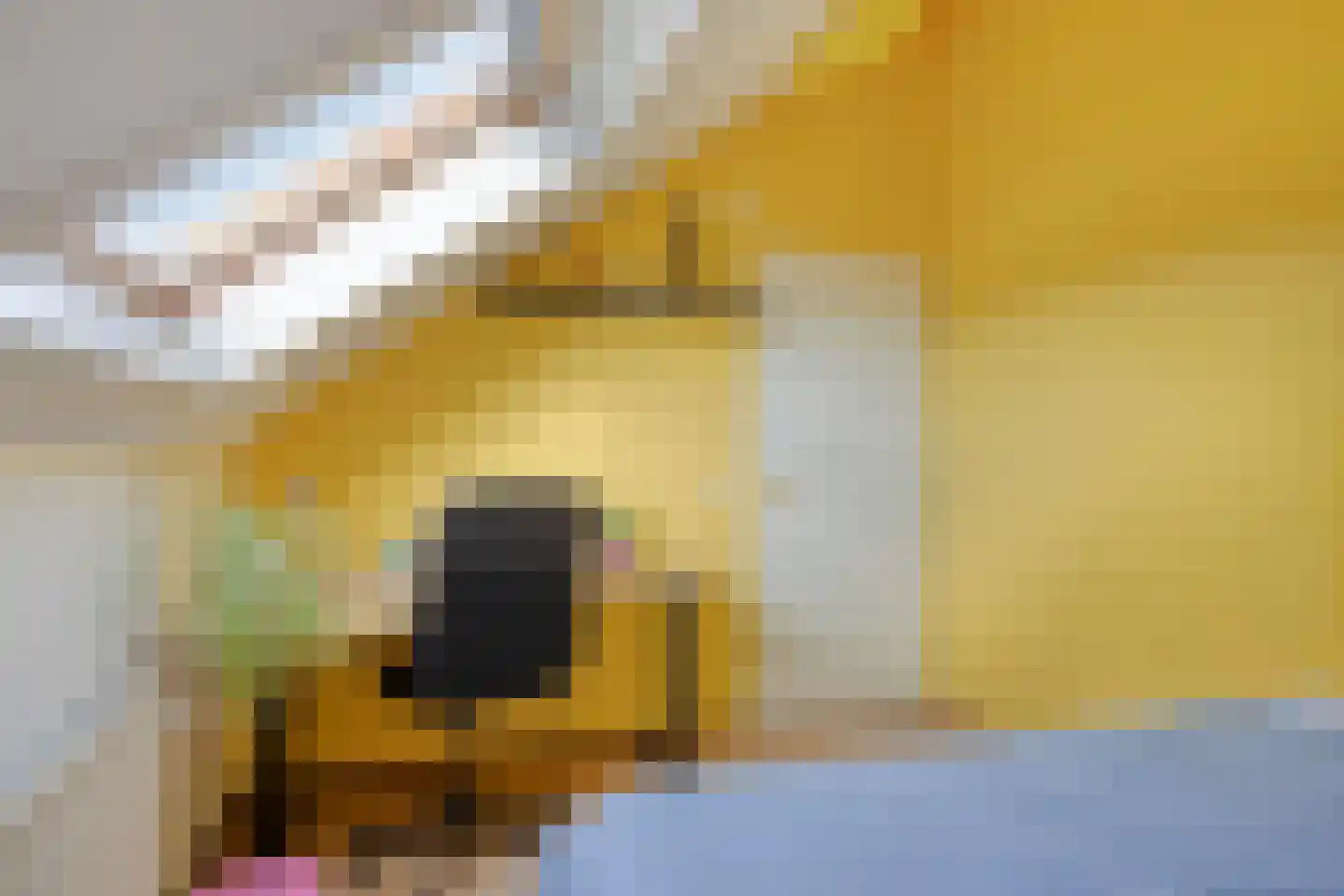 Lucretia van Merkenlaan 1 Veenendaal thumbnail 36