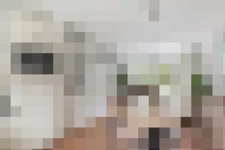 Lucretia van Merkenlaan 37 Veenendaal thumbnail 10