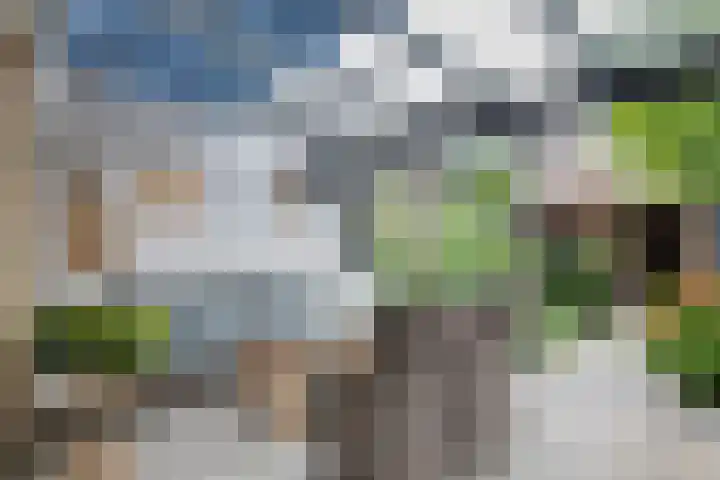 Lucretia van Merkenlaan 37 Veenendaal thumbnail 13