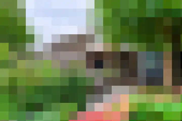 Lucretia van Merkenlaan 37 Veenendaal thumbnail 17
