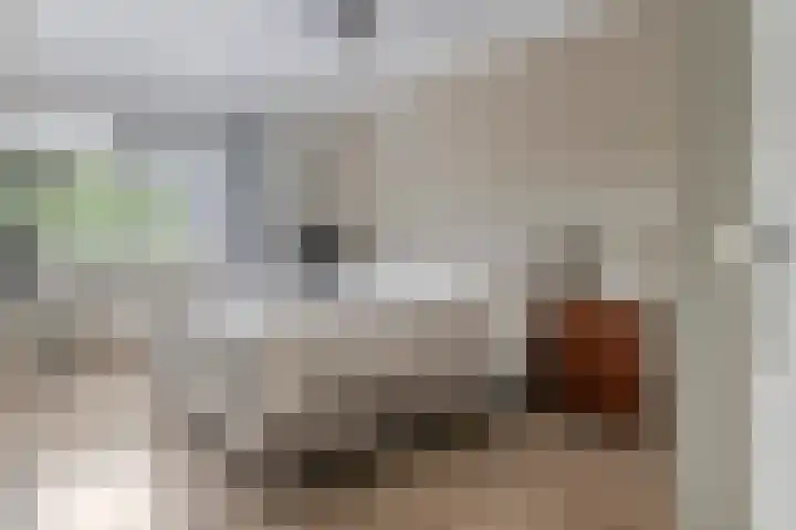 Lucretia van Merkenlaan 37 Veenendaal thumbnail 23