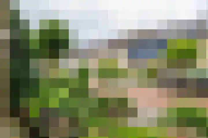 Lucretia van Merkenlaan 37 Veenendaal thumbnail 35