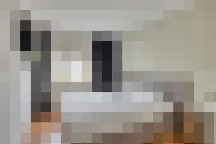 Lucretia van Merkenlaan 64 Veenendaal thumbnail 14
