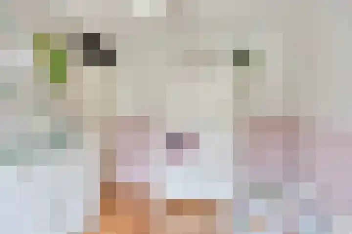 Lucretia van Merkenlaan 64 Veenendaal thumbnail 21