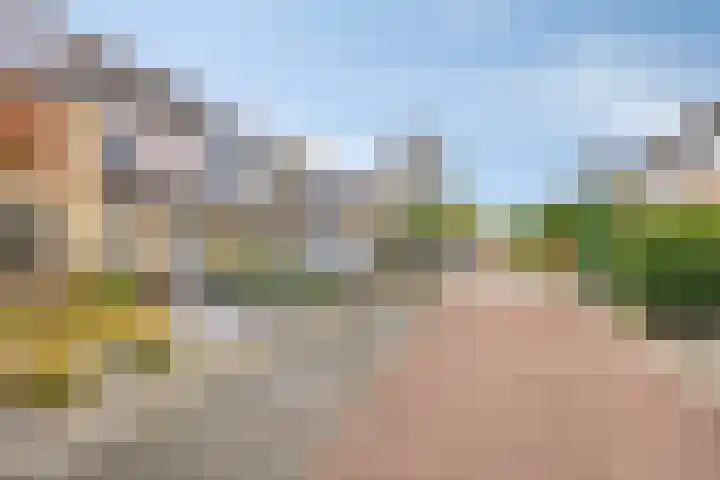 Lucretia van Merkenlaan 64 Veenendaal thumbnail 30