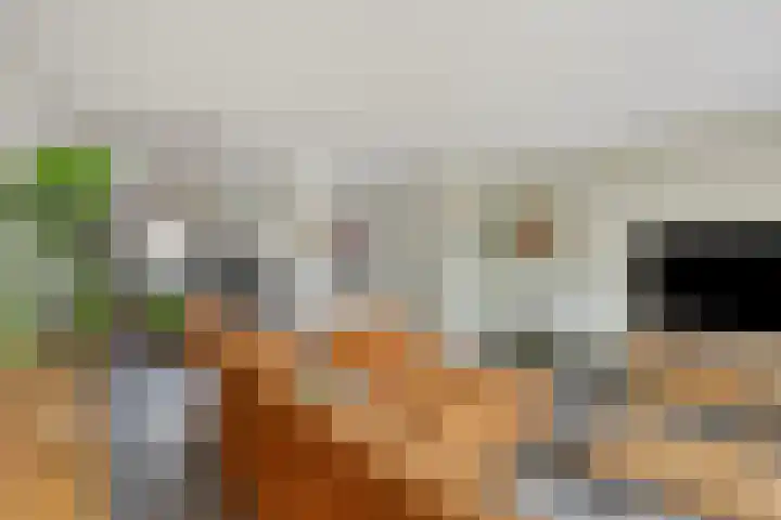 Lucretia van Merkenlaan 64 Veenendaal thumbnail 8