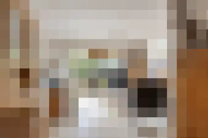 Lucretia van Merkenlaan 67 Veenendaal thumbnail 17