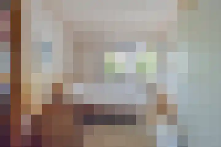 Lucretia van Merkenlaan 67 Veenendaal thumbnail 23