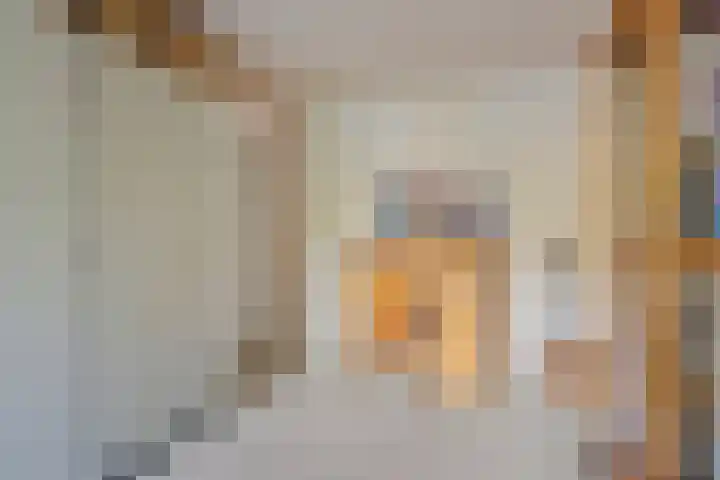 Lucretia van Merkenlaan 67 Veenendaal thumbnail 26