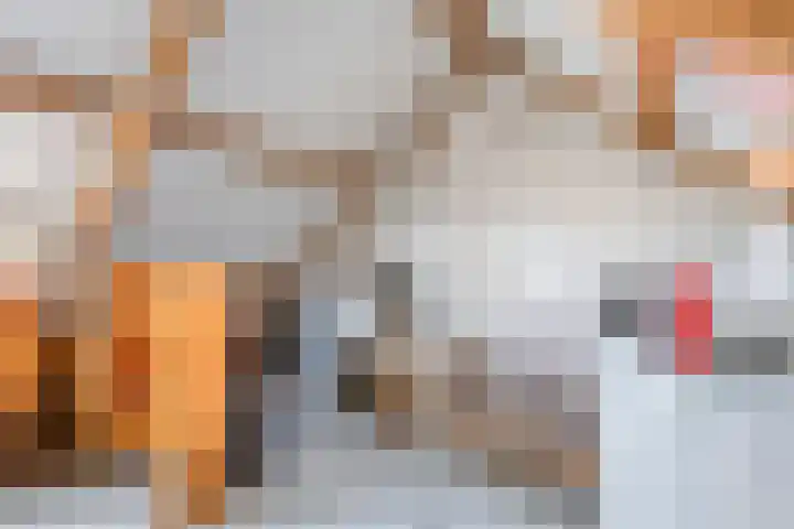 Lucretia van Merkenlaan 67 Veenendaal thumbnail 28