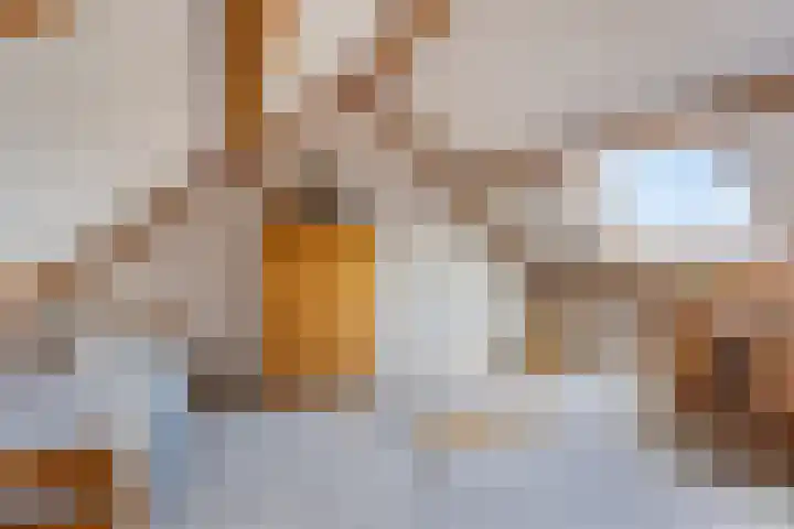 Lucretia van Merkenlaan 67 Veenendaal thumbnail 29