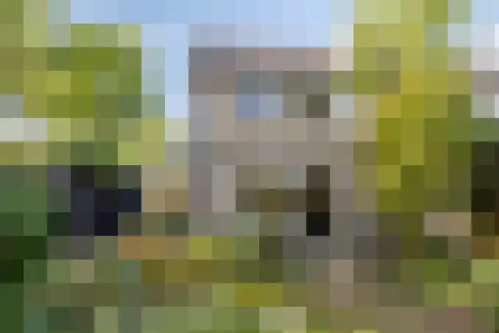 Lucretia van Merkenlaan 67 Veenendaal thumbnail 32