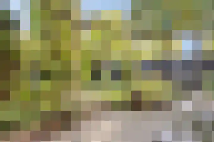 Lucretia van Merkenlaan 67 Veenendaal thumbnail 33