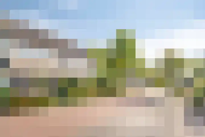 Lucretia van Merkenlaan 67 Veenendaal thumbnail 37