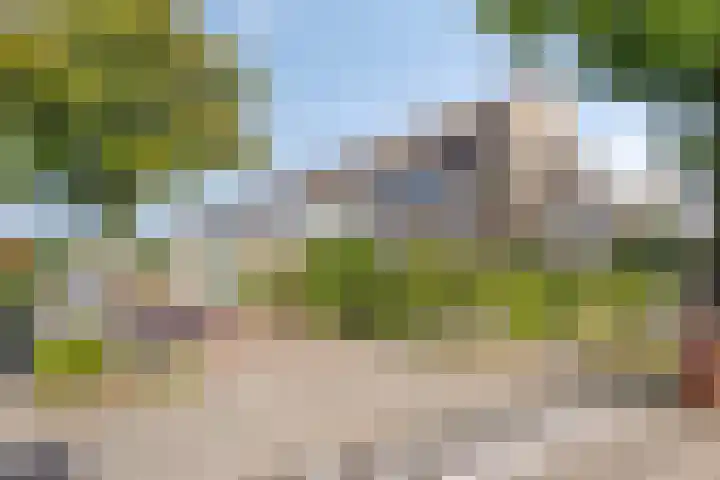 Lucretia van Merkenlaan 67 Veenendaal thumbnail 38