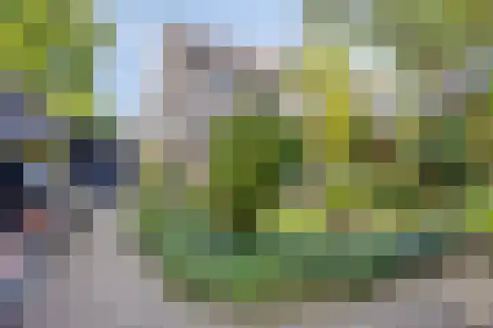 Lucretia van Merkenlaan 67 Veenendaal thumbnail 4