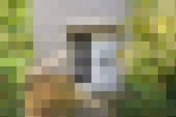 Lucretia van Merkenlaan 67 Veenendaal thumbnail 6