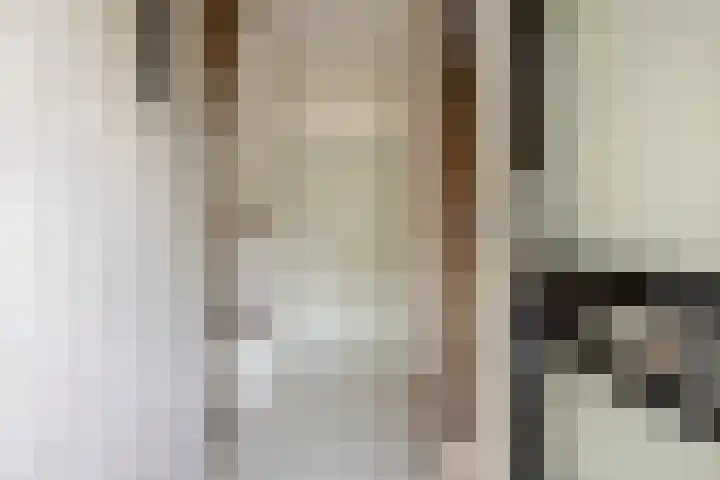 Lucretia van Merkenlaan 67 Veenendaal thumbnail 8
