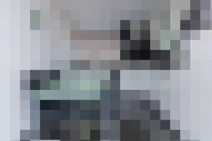 Lucretia van Merkenstraat 1 Spijkenisse thumbnail 17