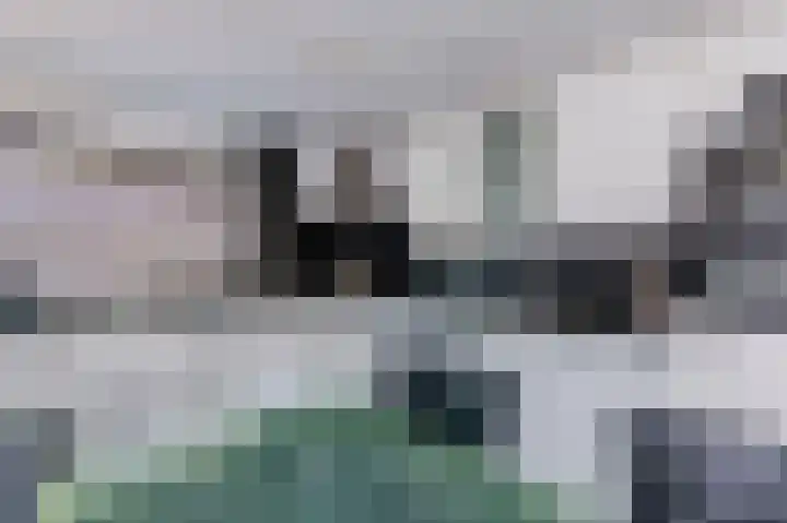 Lucretia van Merkenstraat 1 Spijkenisse thumbnail 18