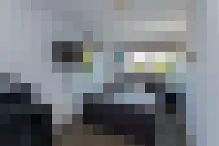 Lucretia van Merkenstraat 1 Spijkenisse thumbnail 28