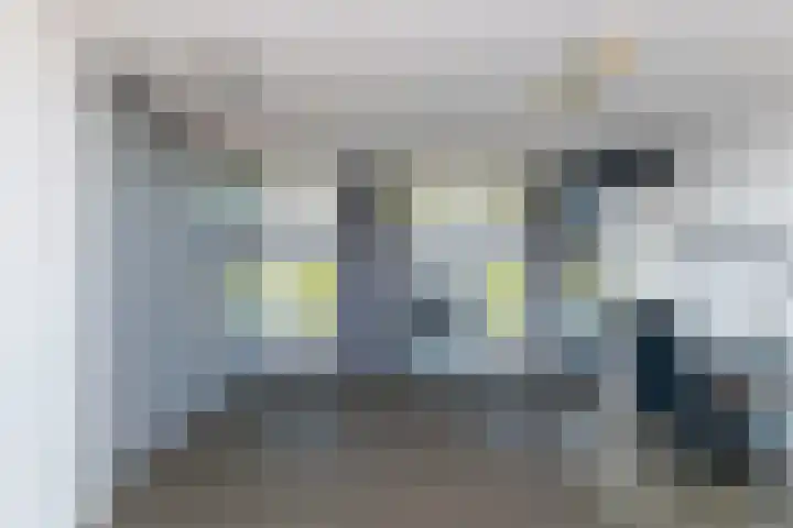Lucretia van Merkenstraat 1 Spijkenisse thumbnail 39