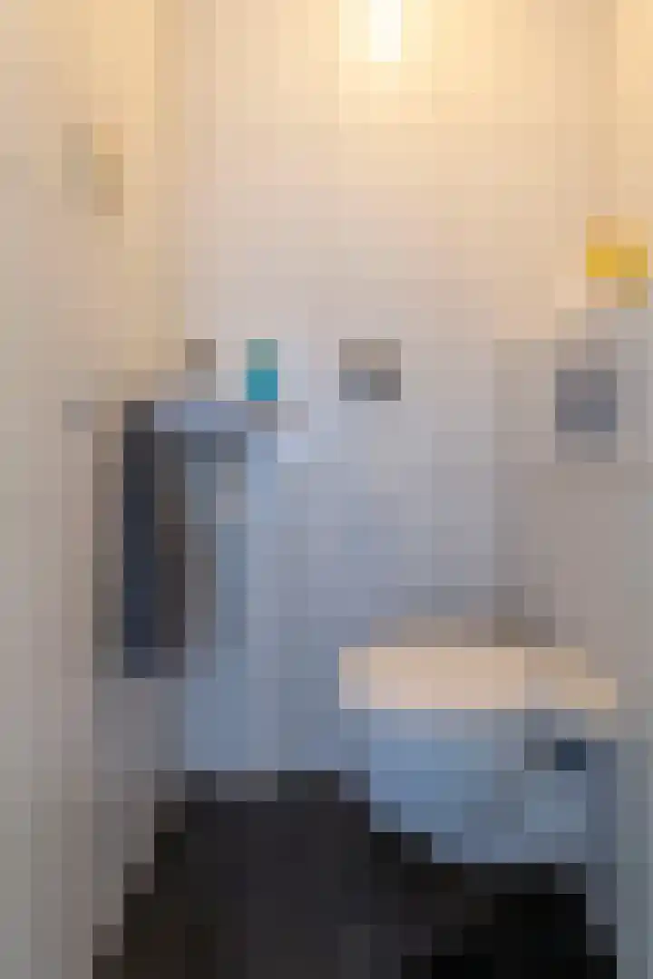 Lucretia van Merkenstraat 1 Spijkenisse thumbnail 6