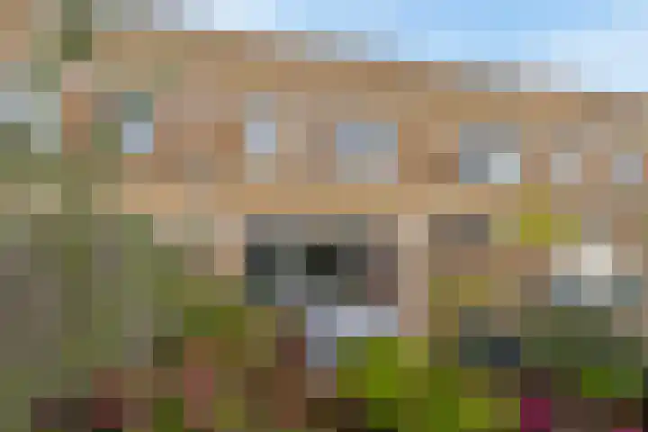Lucretia van Merkenstraat 29 Spijkenisse thumbnail 17