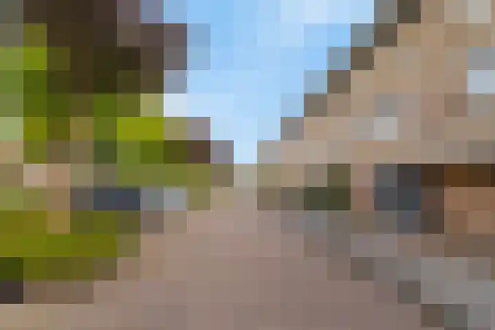 Lucretia van Merkenstraat 29 Spijkenisse thumbnail 4