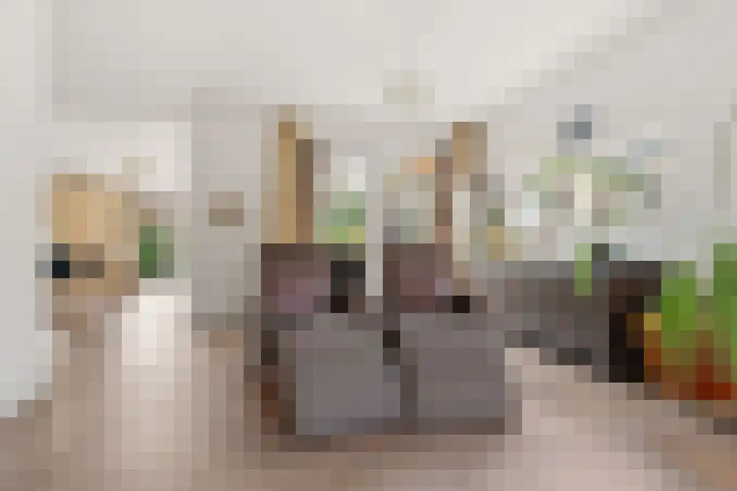 Lucullus 11 Wormer thumbnail 10