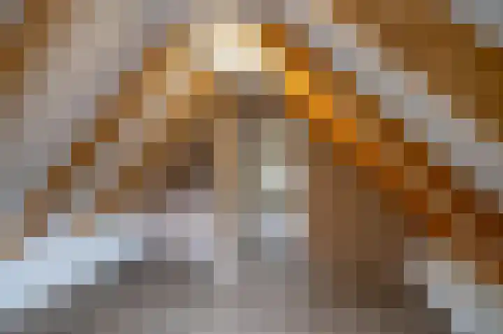 Luddestraat 4 Thesinge thumbnail 20