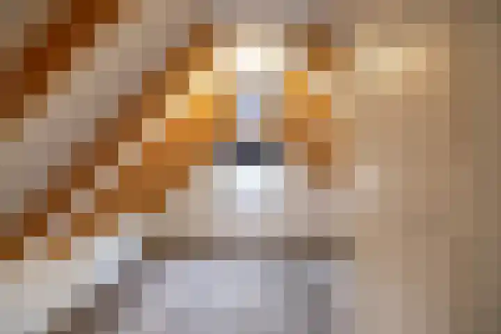 Luddestraat 4 Thesinge thumbnail 21