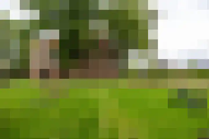 Luddestraat 4 Thesinge thumbnail 29
