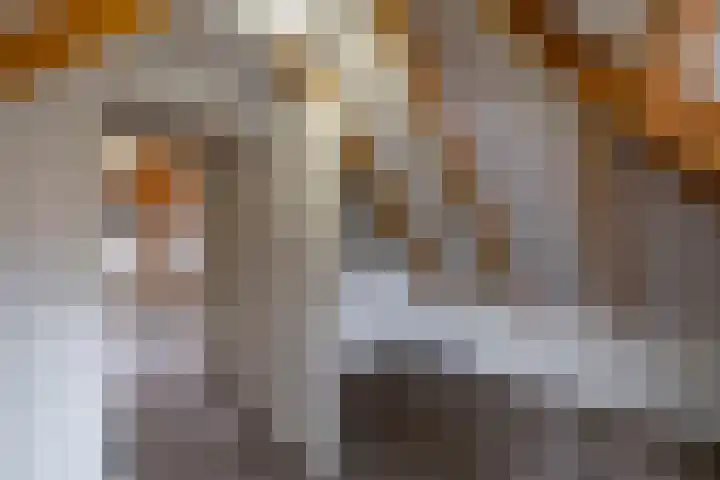 Luddestraat 4 Thesinge thumbnail 4