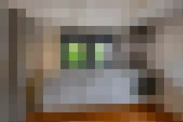 Luddestraat 4 Thesinge thumbnail 9