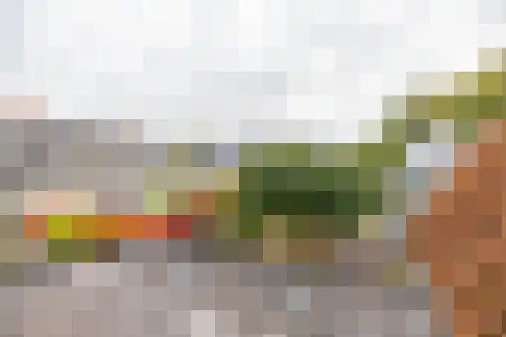 Luddestraat 6 Thesinge thumbnail 23