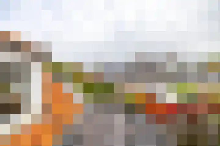 Luddestraat 6 Thesinge thumbnail 24