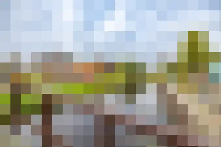 Luddestraat 6 Thesinge thumbnail 35