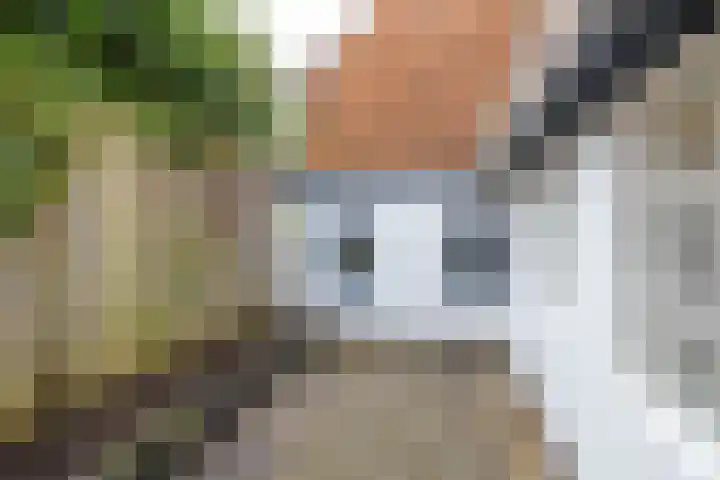 Luddestraat 6 Thesinge thumbnail 5