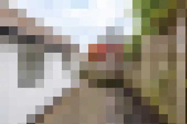 Luddestraat 6 Thesinge thumbnail 6