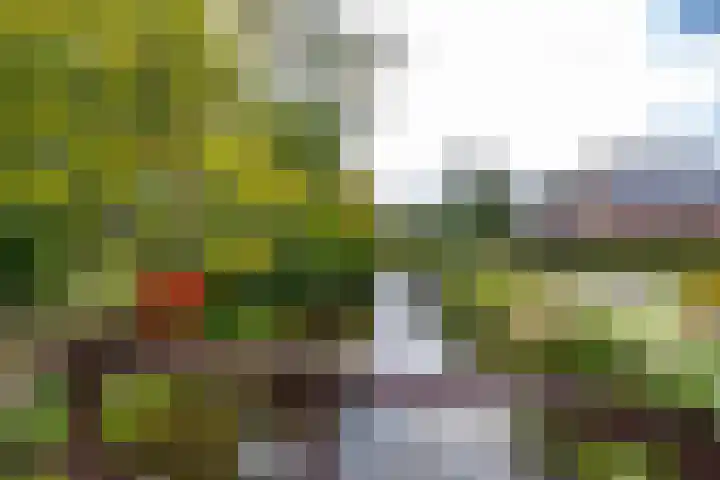 Luddestraat 6 Thesinge thumbnail 7