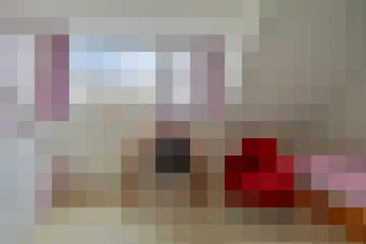 Ludekenskamp 27 Zwolle thumbnail 20
