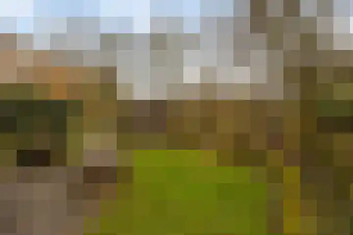 Ludekenskamp 27 Zwolle thumbnail 29